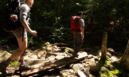 This network of trails in the Sargent Pond area means abundant hiking choices.