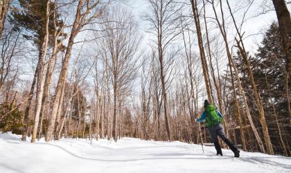 A skier glides through open woods