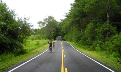 Cycling on a nicely paved road amongst green trees