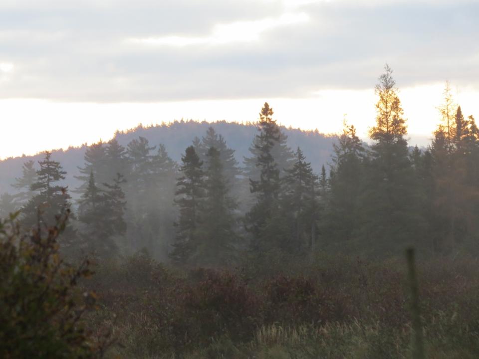 Lake Lila Morning Mist over Boreal Forest