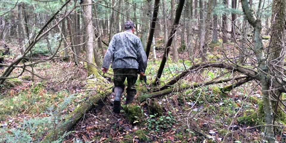 Hunting in the woods - Adirondacks, NY