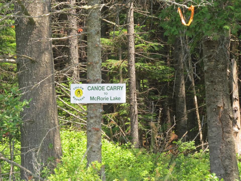 Canoe carry trail to McRorie Lake from Mud Pond's inlet