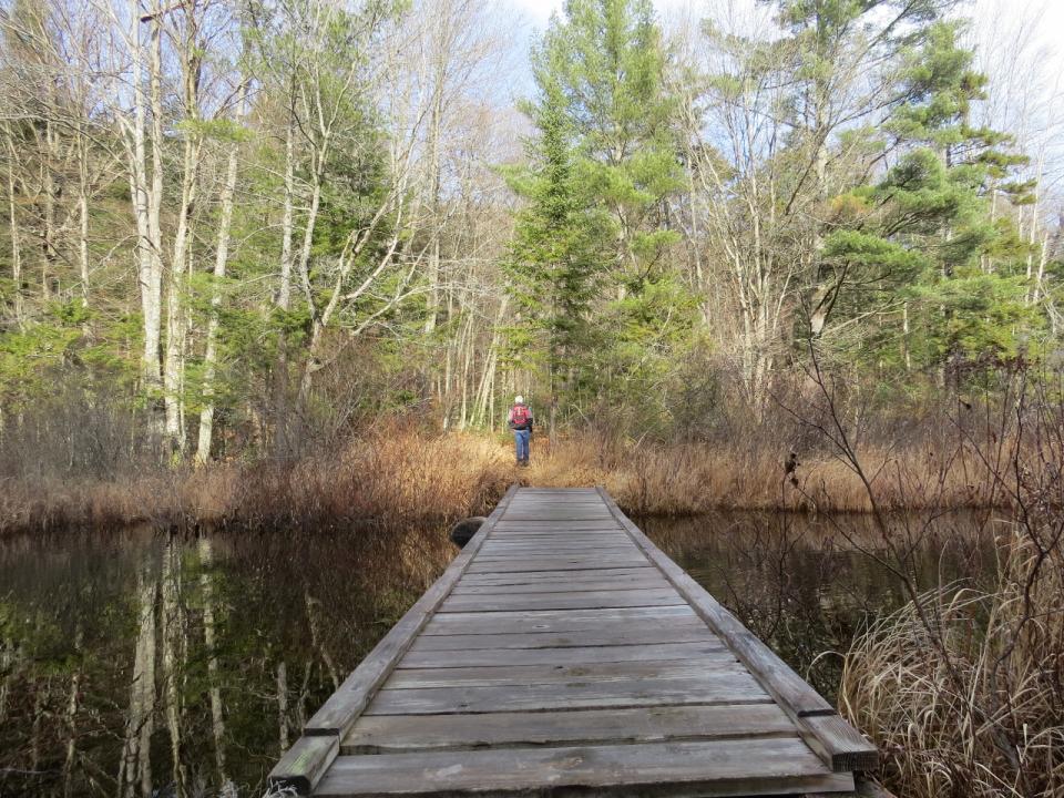 Bridge across the outlet of Upper Brown's Tract Pond