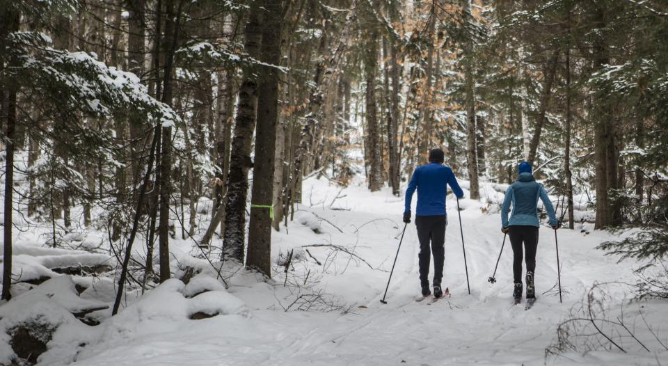 Skiers in the woods