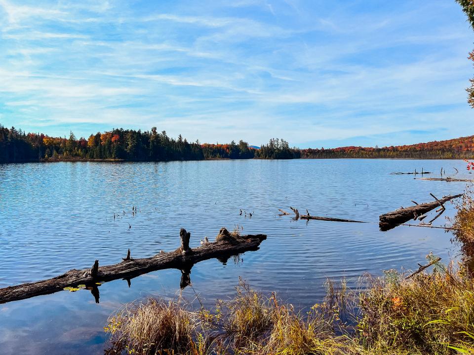 A pond with some fallen logs near the shore and fall foliage in the trees on the opposite shore.