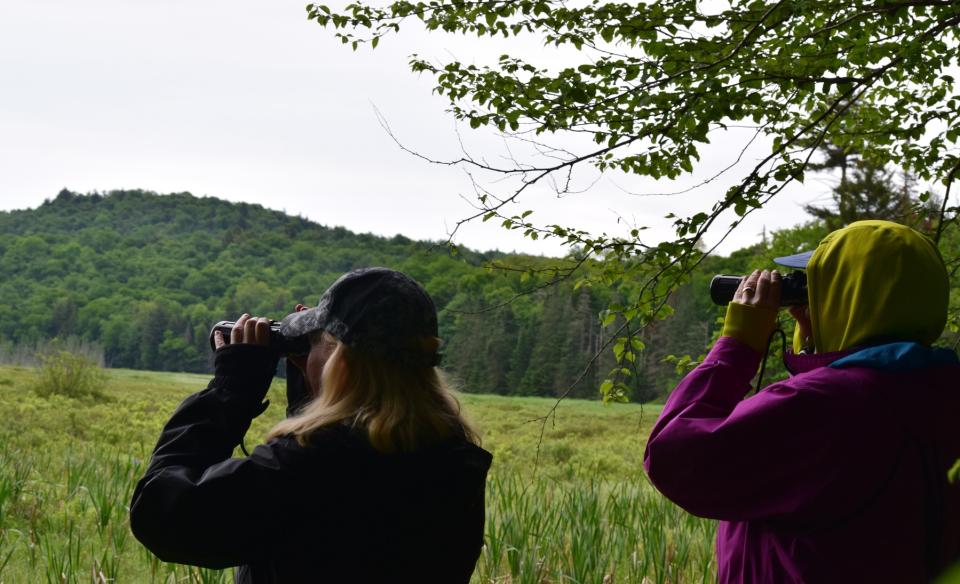 two ladies with binoculars watching for birds