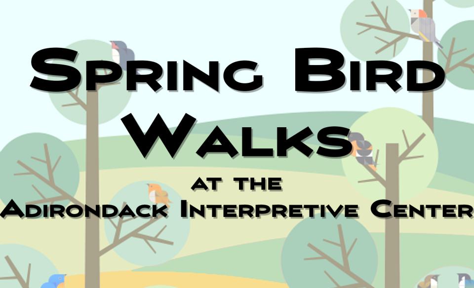 Flier for the spring bird walks
