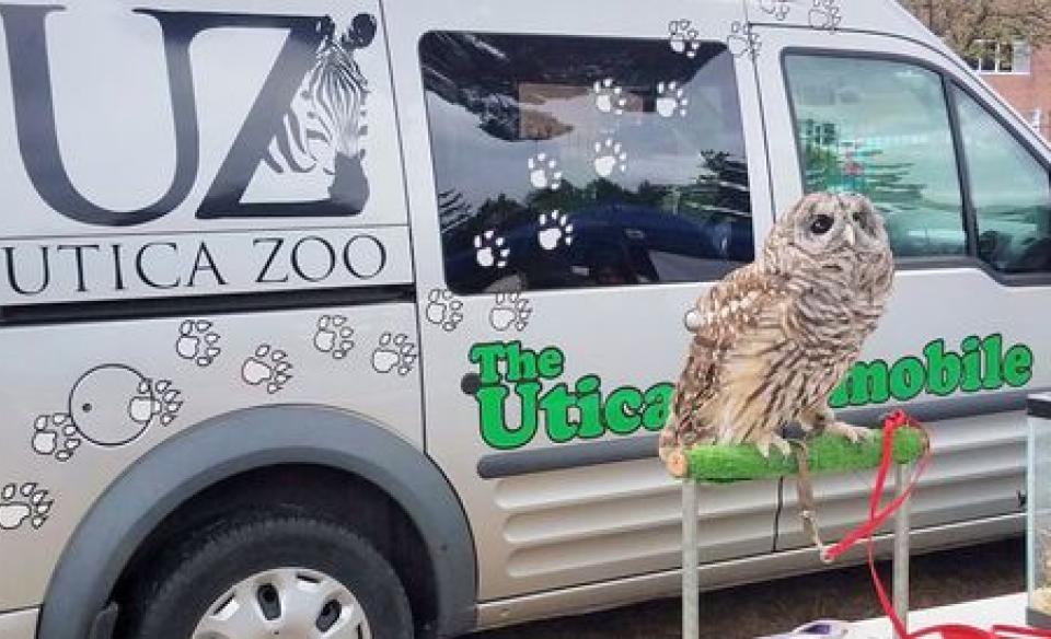 The Utica Zoo zoomobile parked in the back ground with a large owl perched on a stand infront of the vehicle