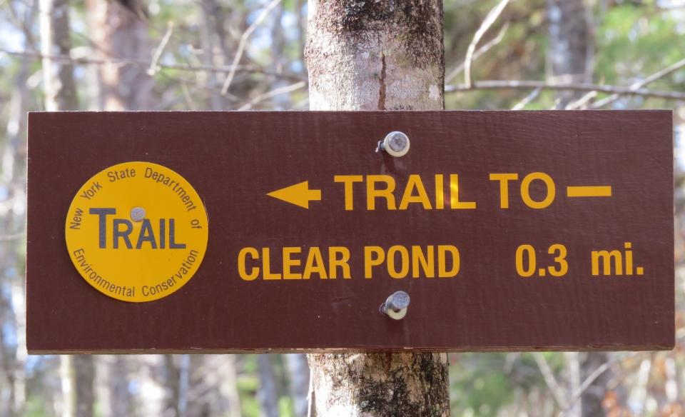 First stop on the trail is Clear Pond.