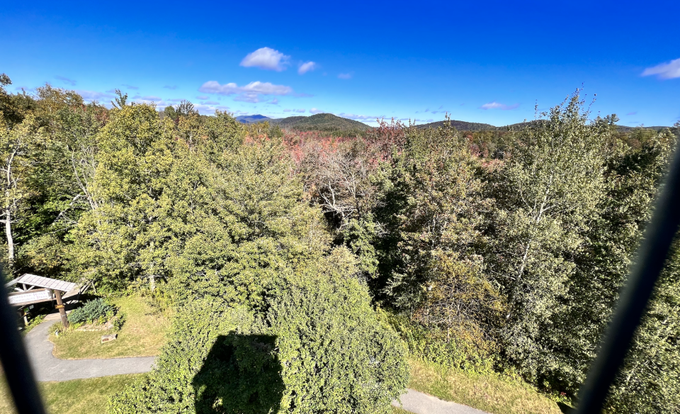 Autumn is an excellent time to see the leaves up close from the fire tower cab!