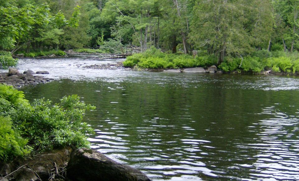 Fishing Brook varies, from wide calm waters to short, narrow, rapids.
