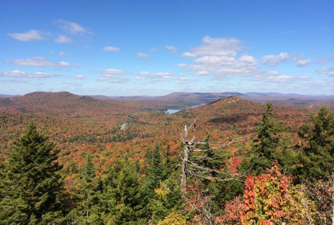 A wonderful way to enjoy Adirondack fall foliage.