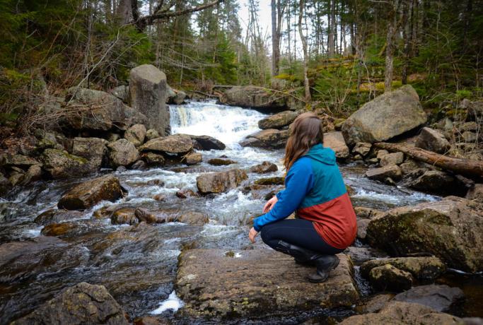The liveliness of the water depends on the season at this Adirondack waterfall.
