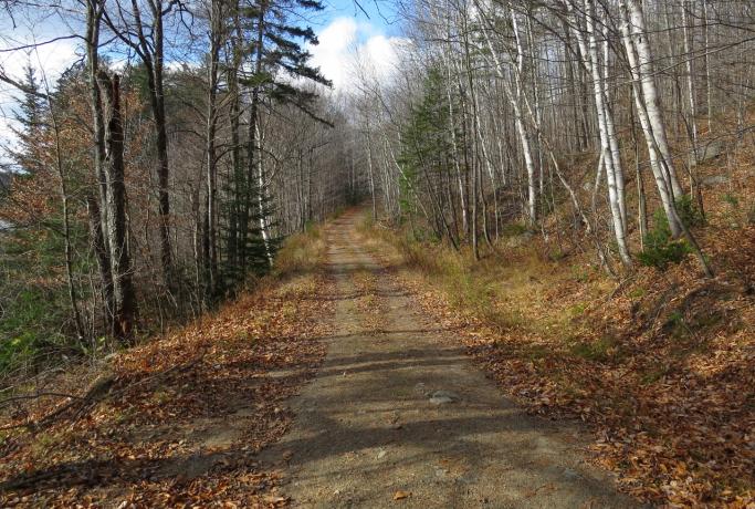 Access roads and trails make for varied terrain.