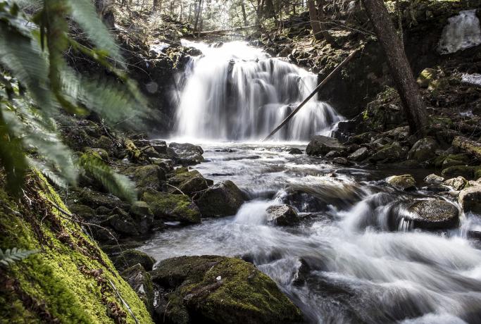 Wonderful photo opportunities at Tenant Creek Falls.