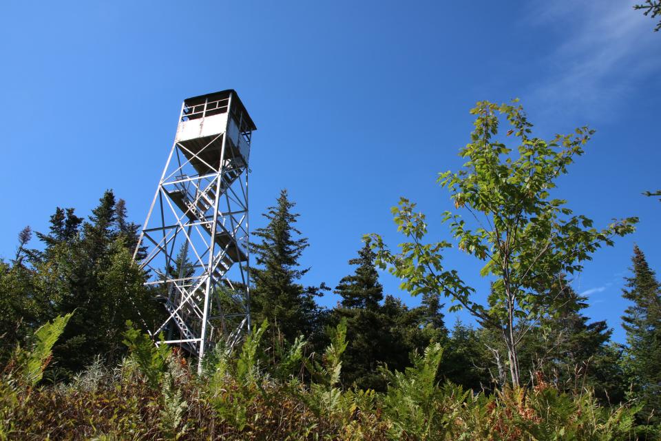 a firetower from a ground view.