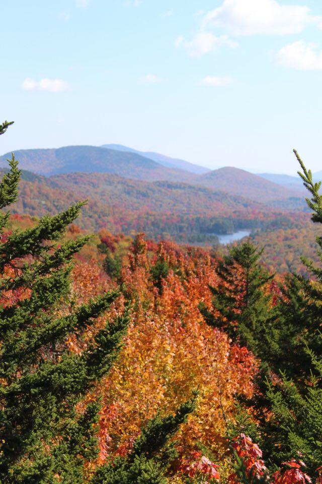 A photo taken from elevation on Buck Mountain, showing significant leaf change