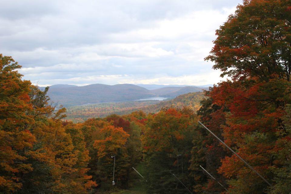 A photo taken from elevation on Buck Mountain, showing significant leaf change