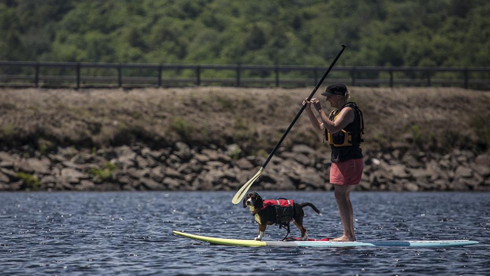 Stacy SUP Paddle Board with Dog