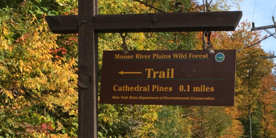 Cathedral Pines Trailhead
