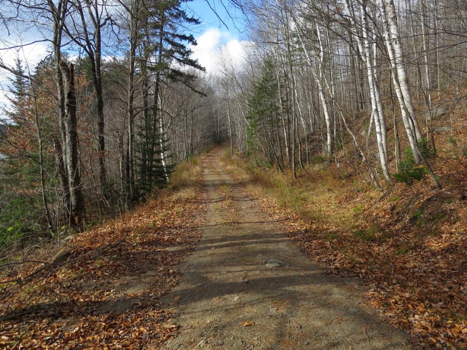 Dirt Road Trail at Chain Lakes Road South