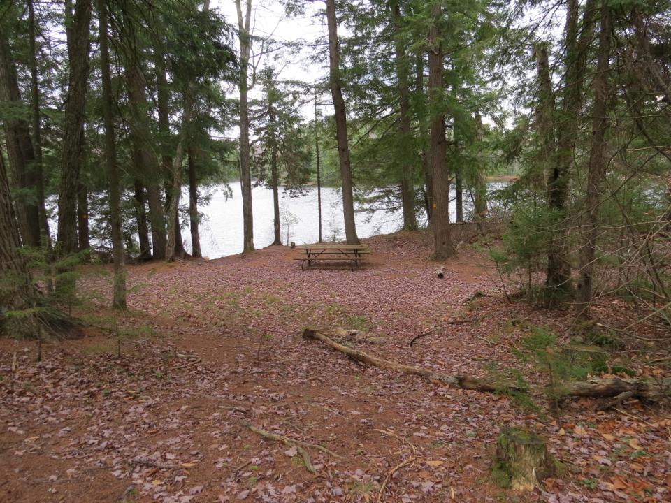 Camp Site at Pine Lake