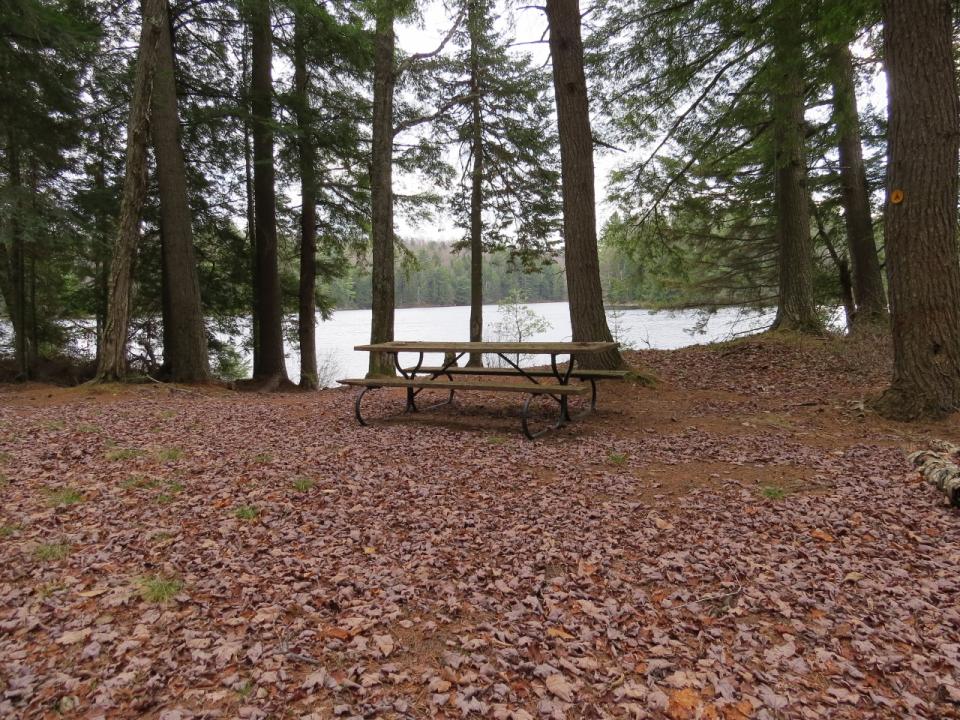 Camp Site at Pine Lake