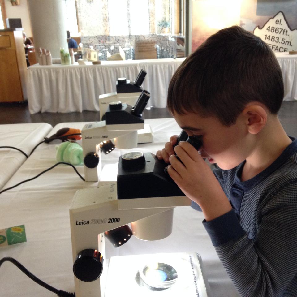 Tick Talk microscope time...