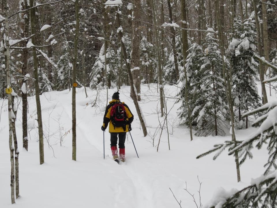 Skiing the Three-Brook Loop Ski Trail