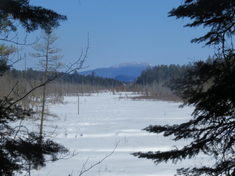 View of Brown's Tract Inlet with Blue Mountain