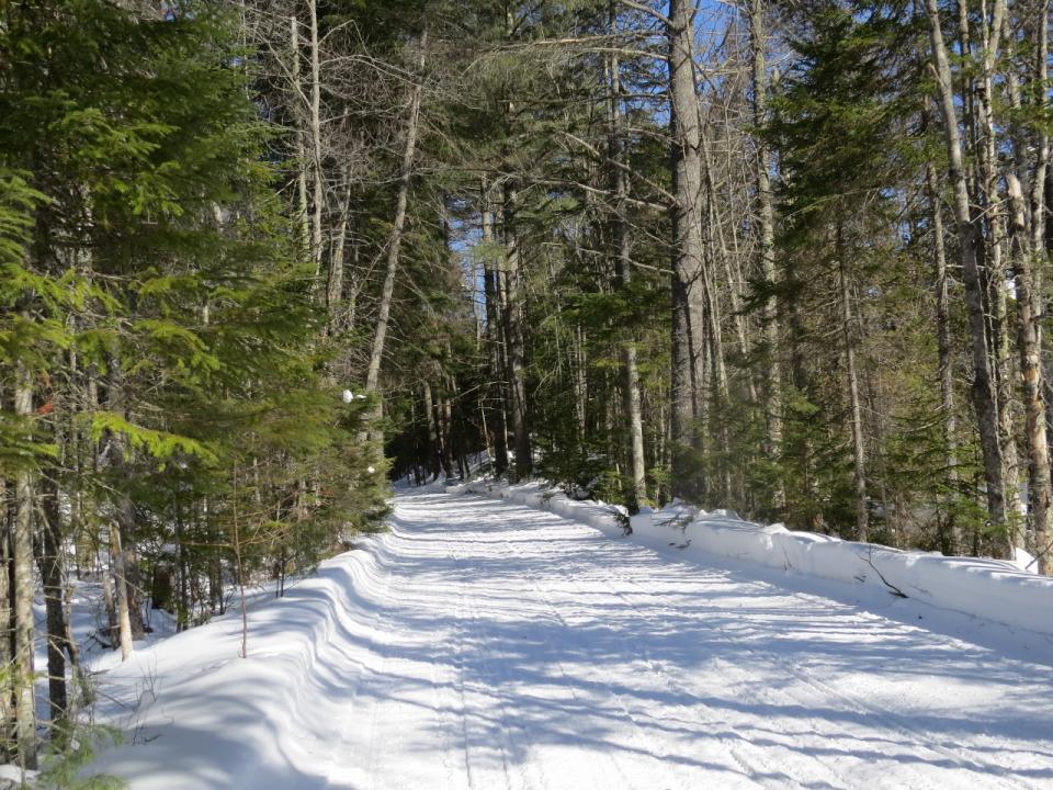 Trail along Brown's Tract Inlet
