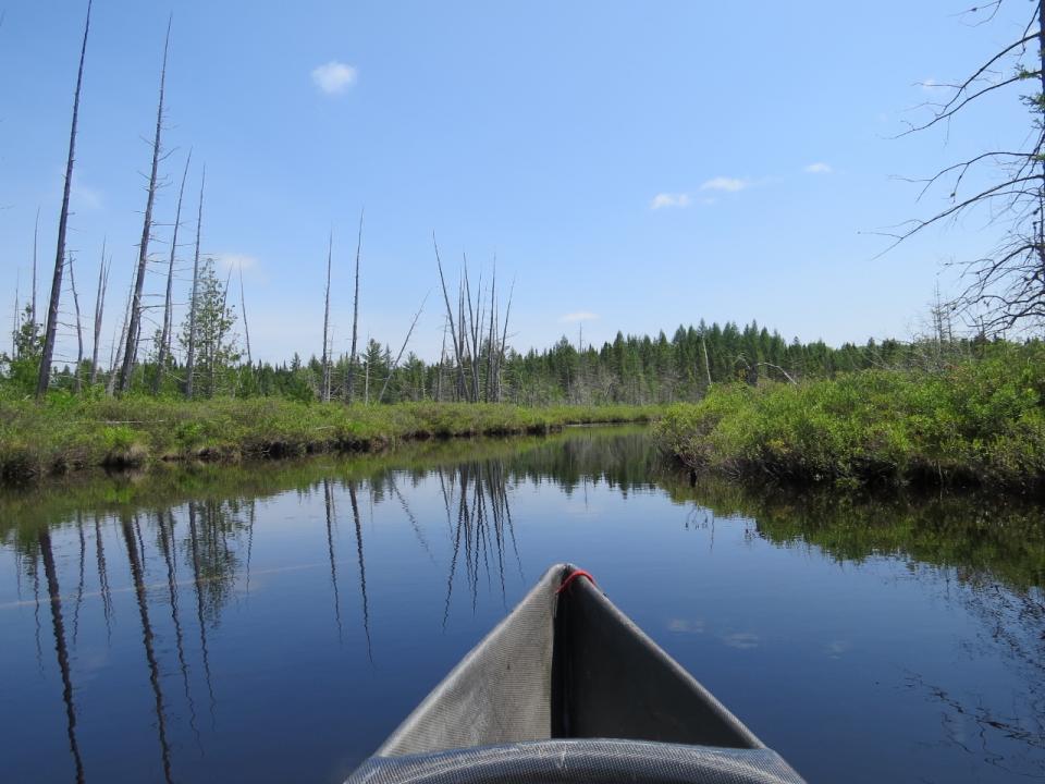 Paddling the inlet of Mud Pond at Cedarlands