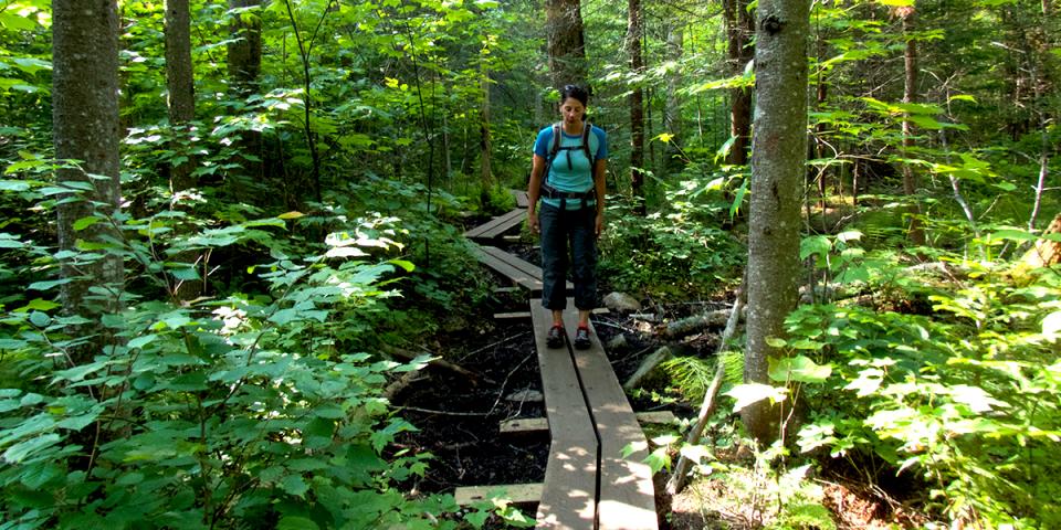 Allison bounces on the bog bridging to test its weight capacity