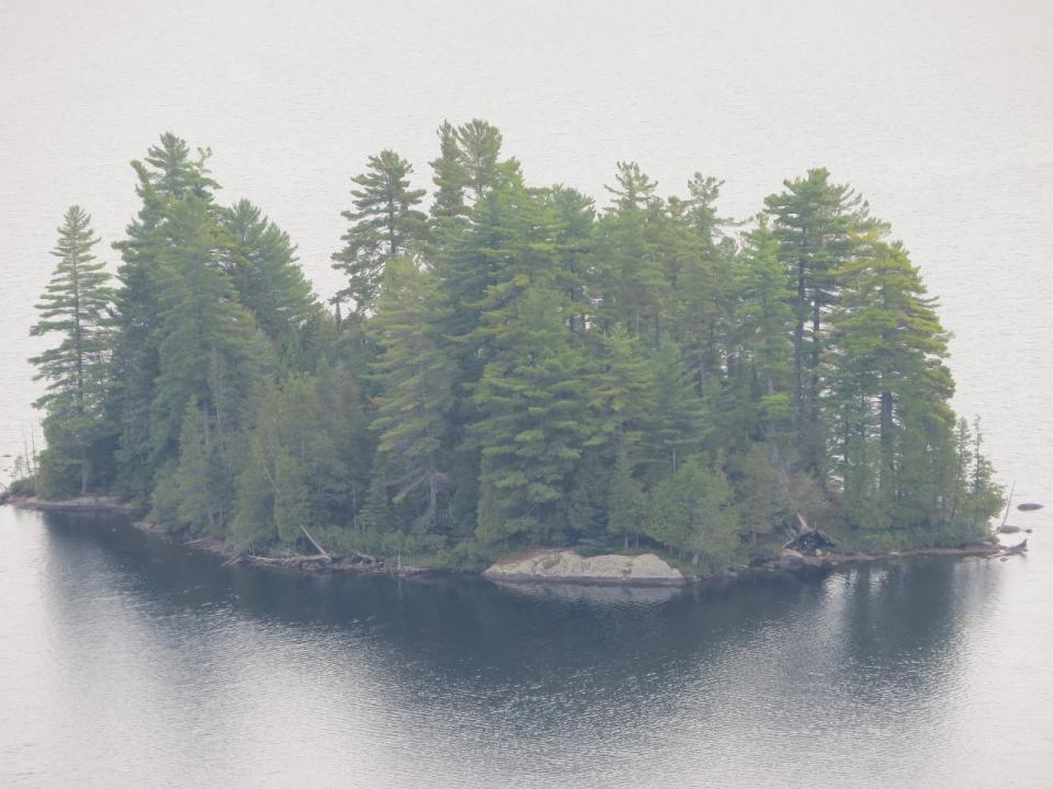 An island in McRorie Lake - taken from the summit of Mud Pond Mountain