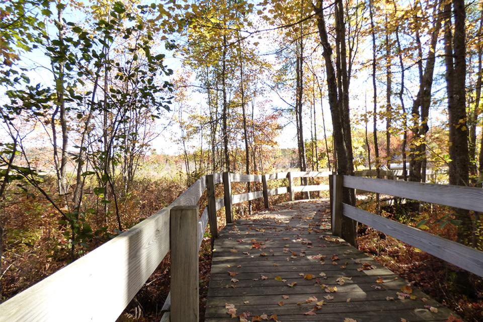 Boardwalk out to the overlook on the Sacandaga Community Pathway