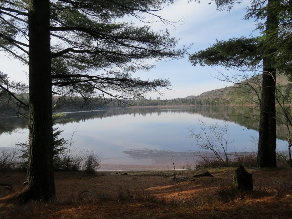 Upper Brown's Tract Pond