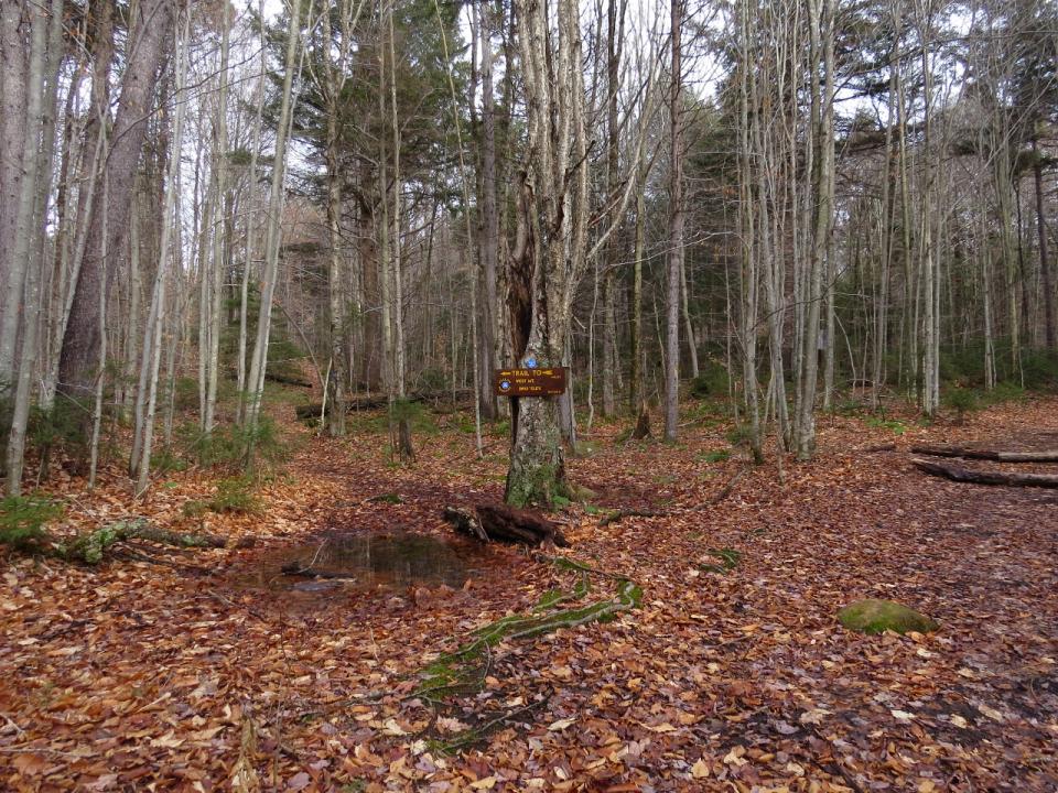 Intersection with foot trail up West Mountain
