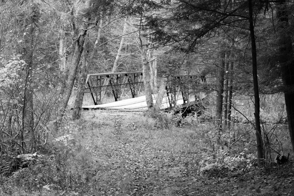 Jasper Day Trail bridge