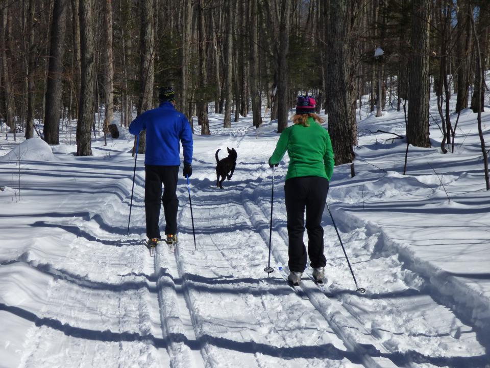 Skiers on groomed, tracked cross-country trails