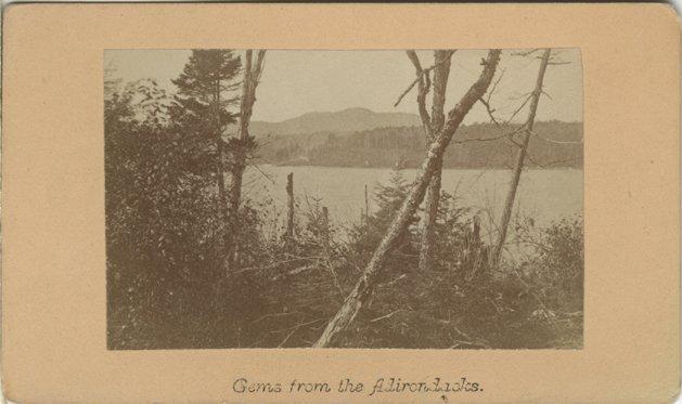 Carte-de-visite titled Gems from the Adirondacks, View of an unidentified lake and mountains through trees in the Adirondacks, Catalog Number 1975.020.0804