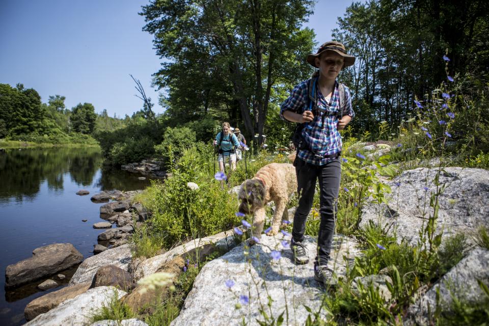 A family and their dog hikes by a stream with many purple flowers in bloom around them.