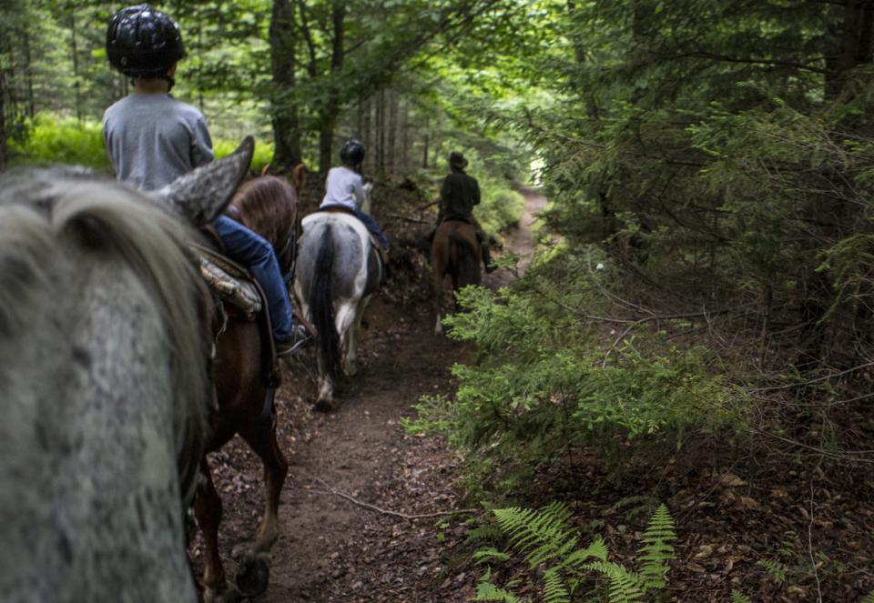 Take a trail ride for a trip to remember.
