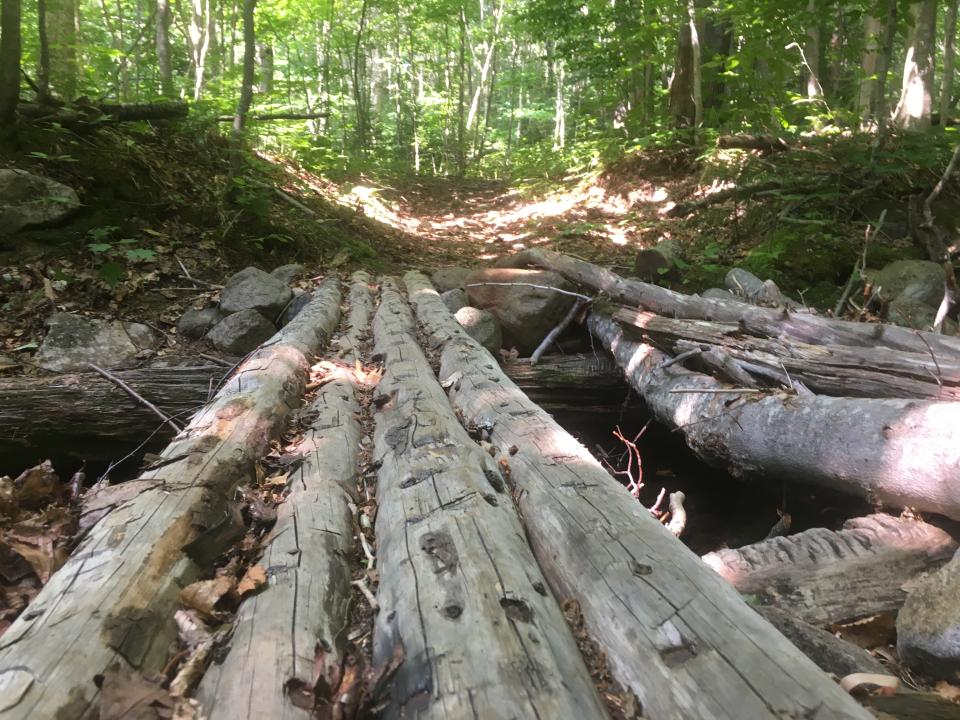 A log footbridge on the trail to the Wakely firetower.