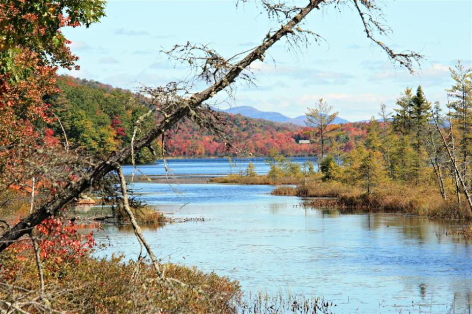 More Adirondack fall foliage
