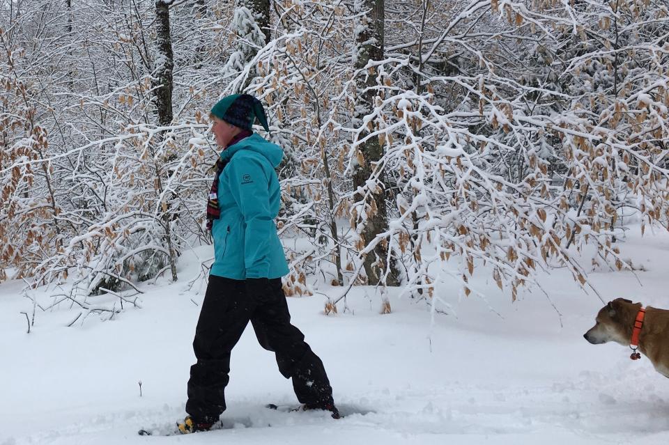 Dog follows snowshoeing woman on trail