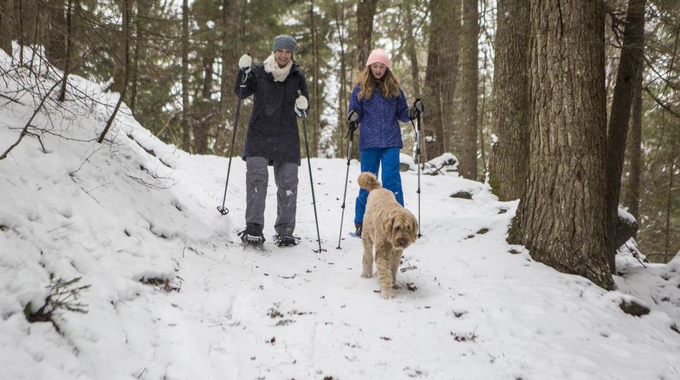 Women snowshoe on a trail with their dog