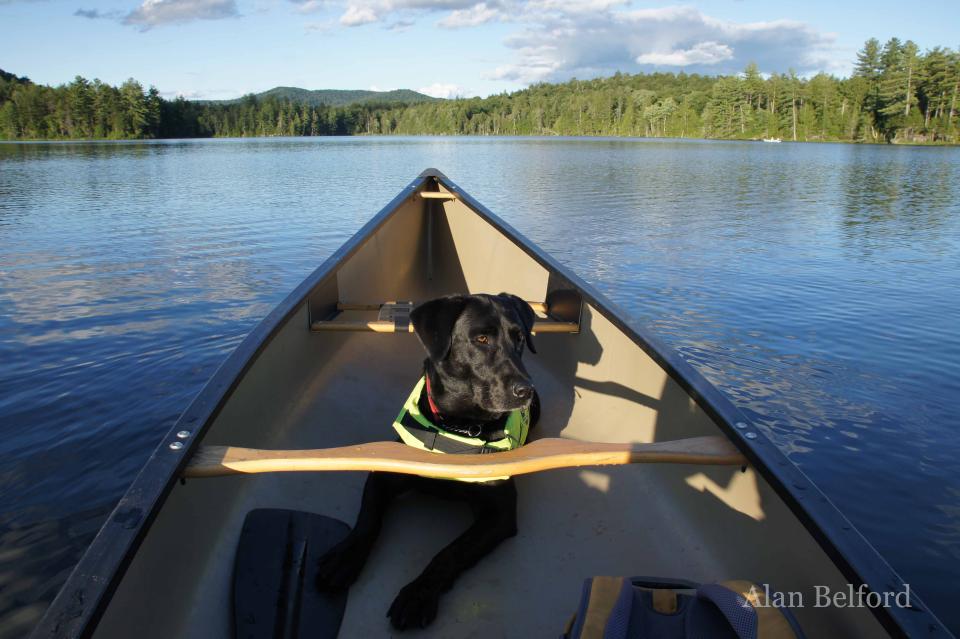 Wren enjoys an afternoon paddle on Mason Lake.