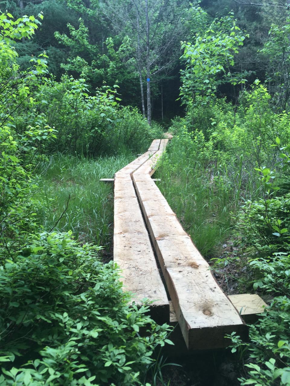 Planks over vegetation on the Northville Placid Trail