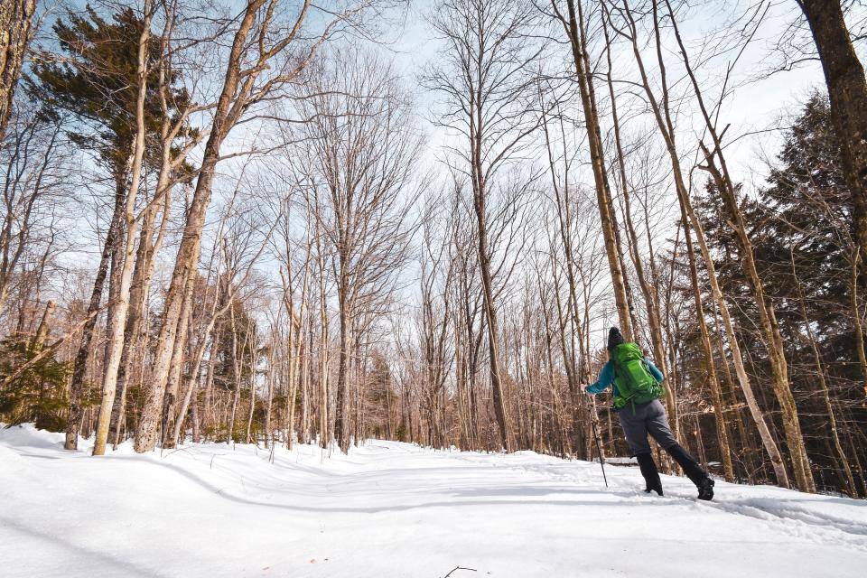 A woman cross-country skis through a forest without leaves, covered in snow.