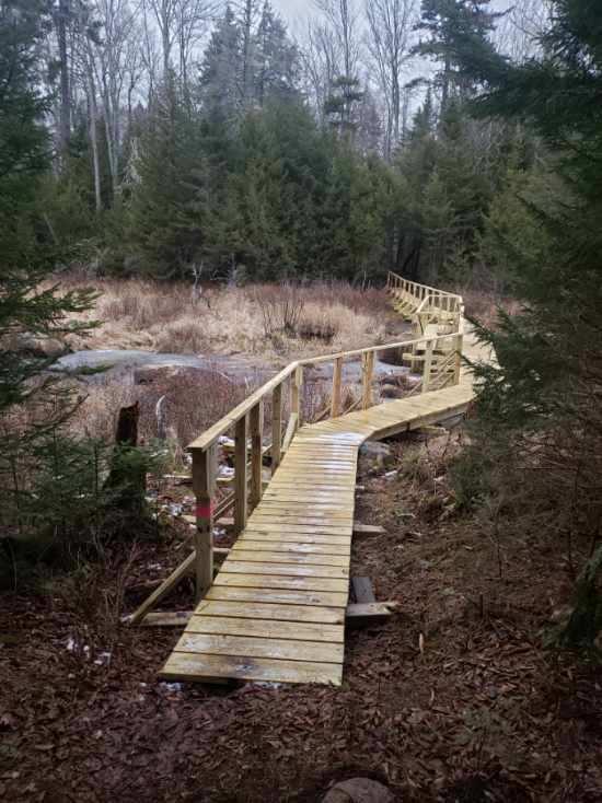 Foxey Brown Trail Bridge